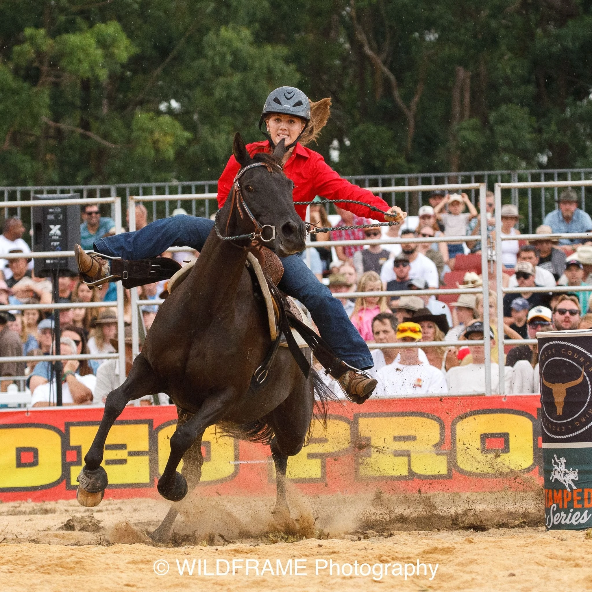 Rode Rider Dog Gallery - WILDFRAME